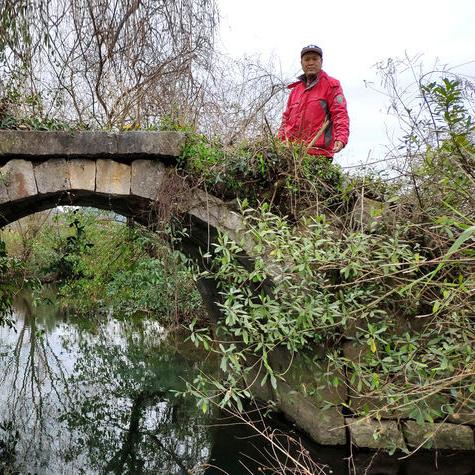 桂林黑蚂蚁怎么食用相关长尾关键词有哪些