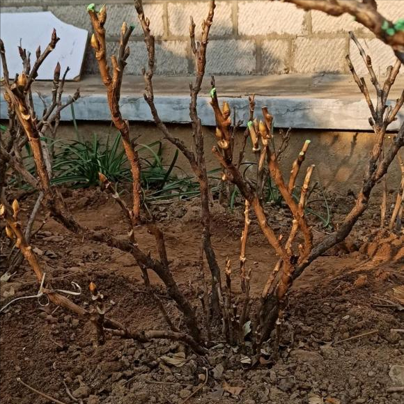 春季时热时冷 春季时热时冷