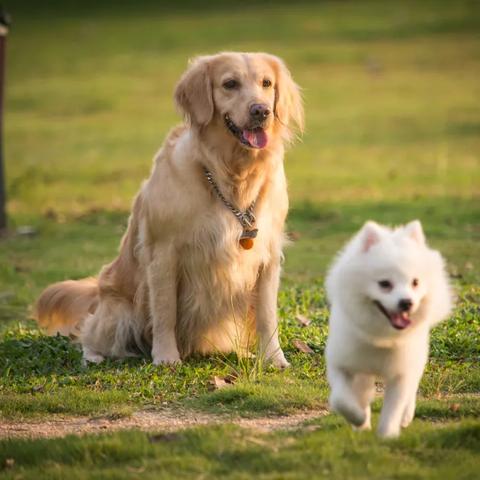 关于上海浦南医院相关关键词有哪些