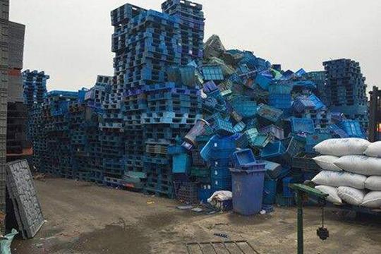 靠回收废塑料，1吨能卖几千元？