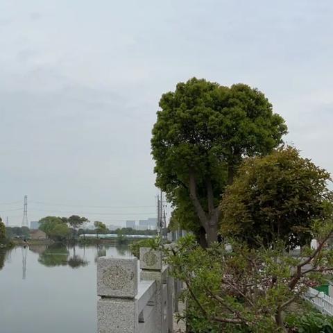 上海免租期园区有哪些