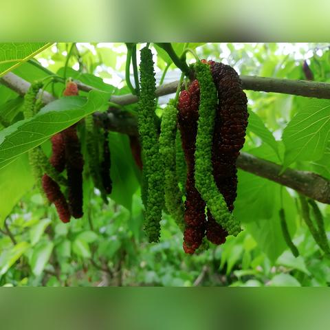 南宁市十个露营点在哪个位置