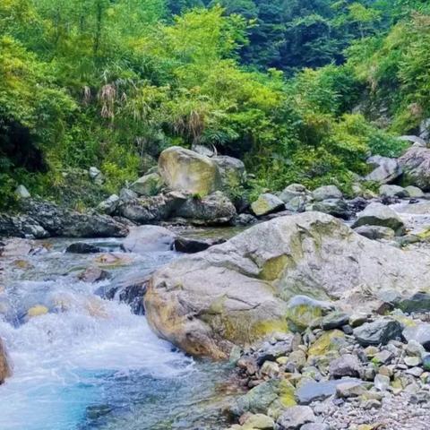 成都市区去哪里推荐
