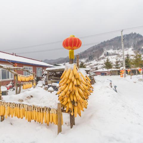 哈尔滨去哪里玩比较好？