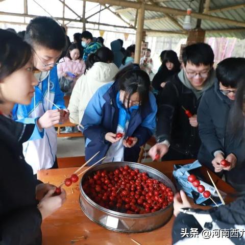 十中合肥相关长尾关键词有哪些