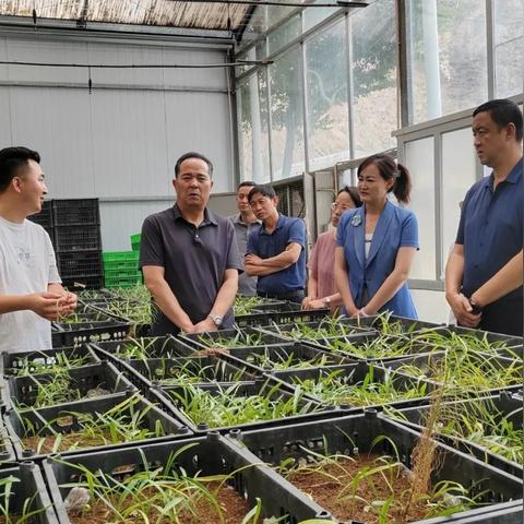 兰州水果冷库定做厂家的相关长尾关键词有哪些