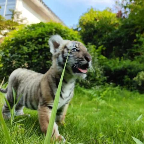 [苏州结婚满月]长尾关键词有什么