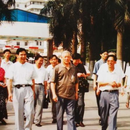 原广州市副市长什么玲