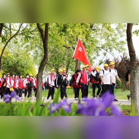 石家庄市各个高中哪里升学率高