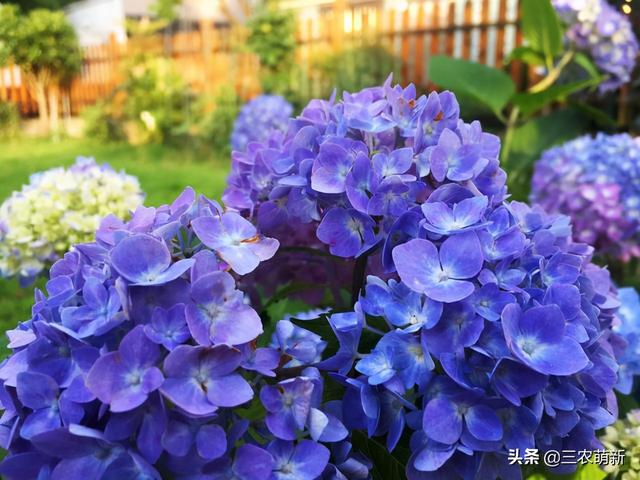 夏天孩子什么时候不要喝水