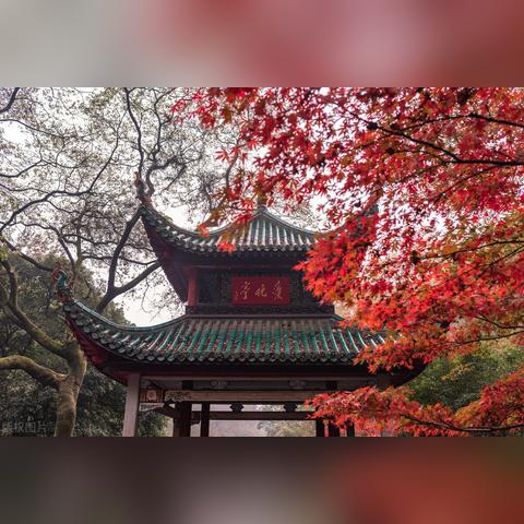 岳麓区是郊区吗？