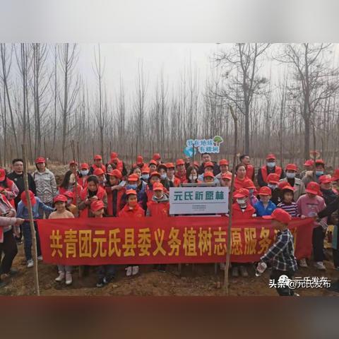 双人协作通关技巧：双人成行式游戏的默契攻略