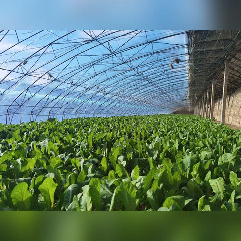 南通天顺包装相关长尾关键词有哪些