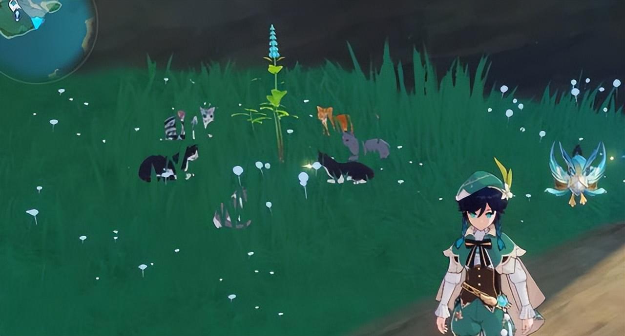 原神怎么在地上放置薄荷(雷神鱼多久刷新)