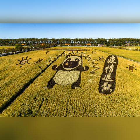 沈阳大学旅游管理专业相关长尾关键词有哪些