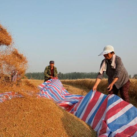 禹城河南属于哪个市管
