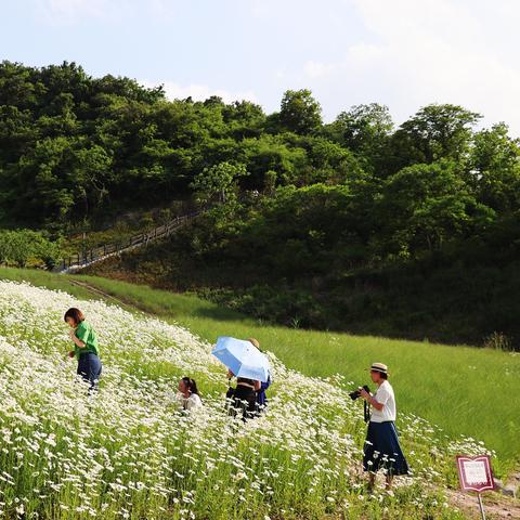宁波市哪个山好爬