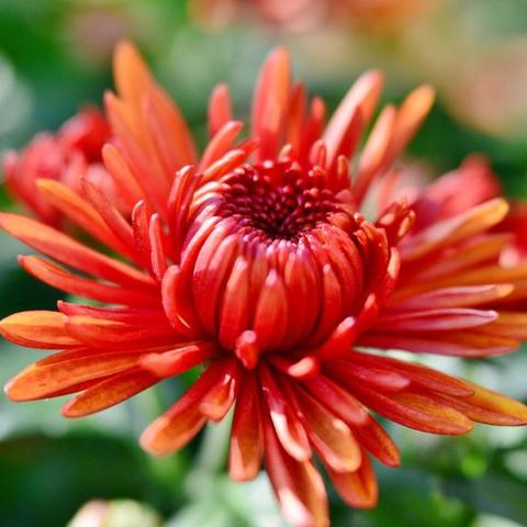 南通市到德州市多少公里