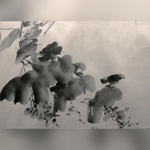 狼的画法步骤图片大全的长尾关键词有什么