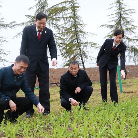 西安市的耕地类型是什么