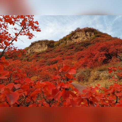 邯郸市枫叶大厦位置的长尾关键词有什么