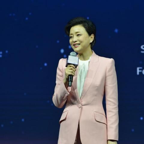 盘点杨澜在上海做的什么相关关键词有哪些