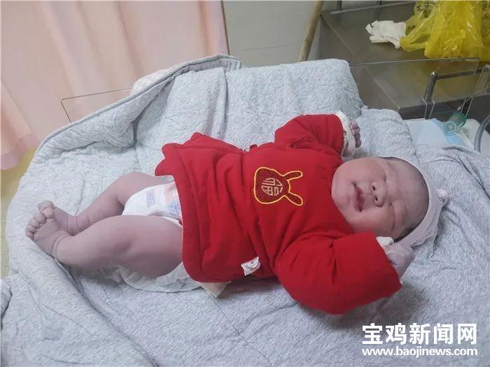 虎年宝宝起名姓邓怎么取(你觉得今年央视春晚怎么样)
