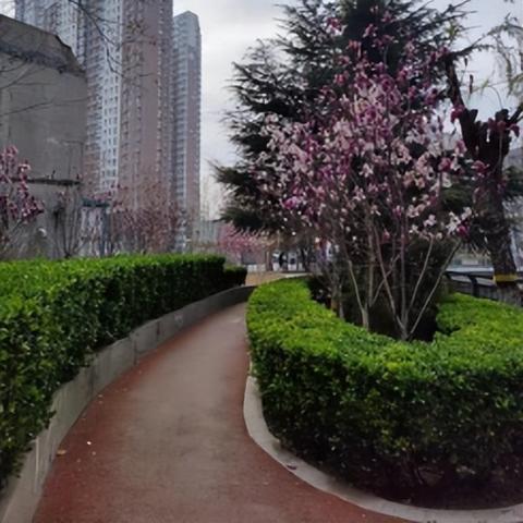 石家庄市指哪里城市