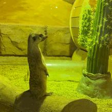 哈尔滨市亲子鉴定多少钱