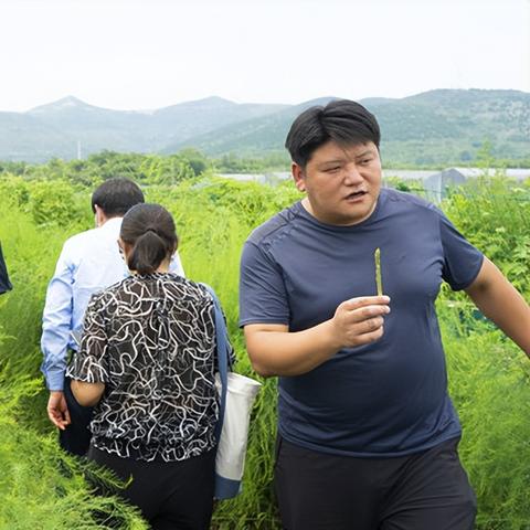 济南市人才20条是什么