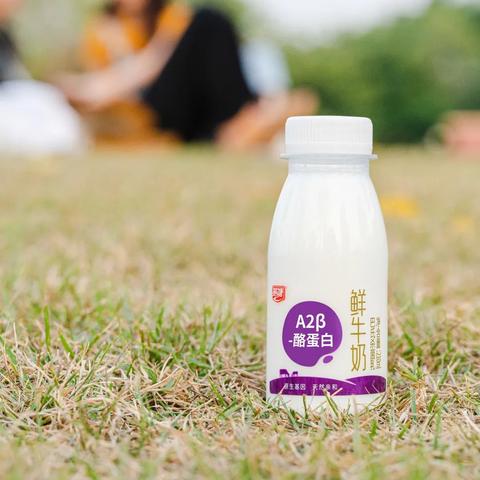 福建省泉州市燕塘小学的长尾关键词有哪些