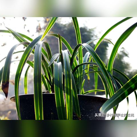 新手必看：快速掌握游戏核心玩法与技巧