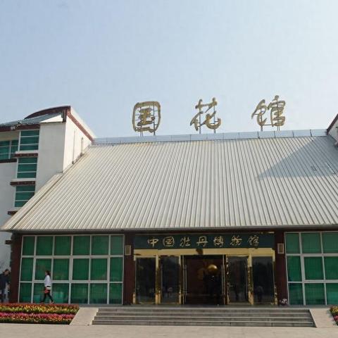 菏泽市主城区人口的长尾关键词有什么