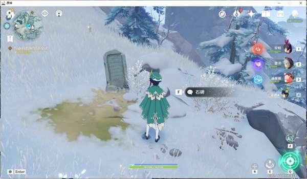 原神塞西莉亚苗圃怎么（原神海棠花采集位置）