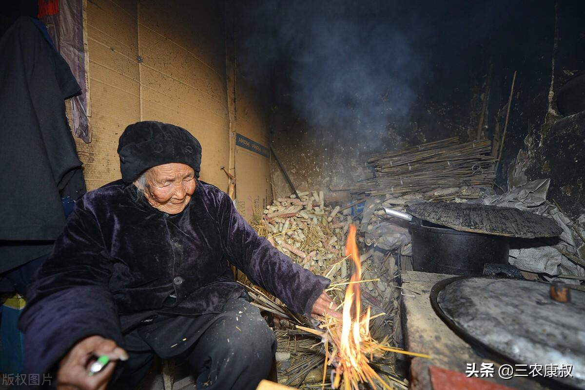 环境污染与防治论文模板保护环境保护的论文800字以上的