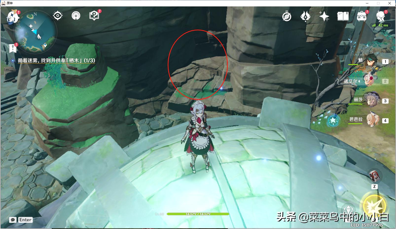 原神石门机关怎么打开（原神稻妻镇守森林破除结界位置）