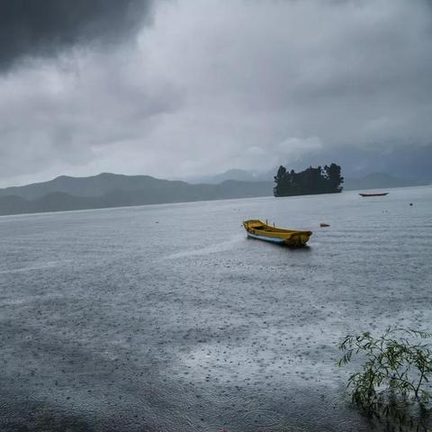 广州29号天气怎么样