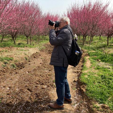 合肥市清水湾梅花园在什么地方