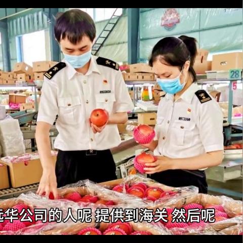 厦门市树脂工厂在哪里