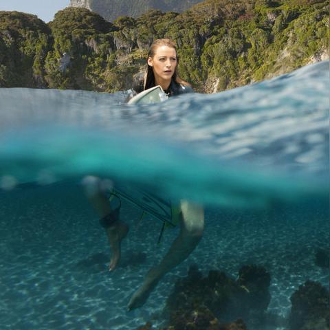 鲨鱼的电影有哪些