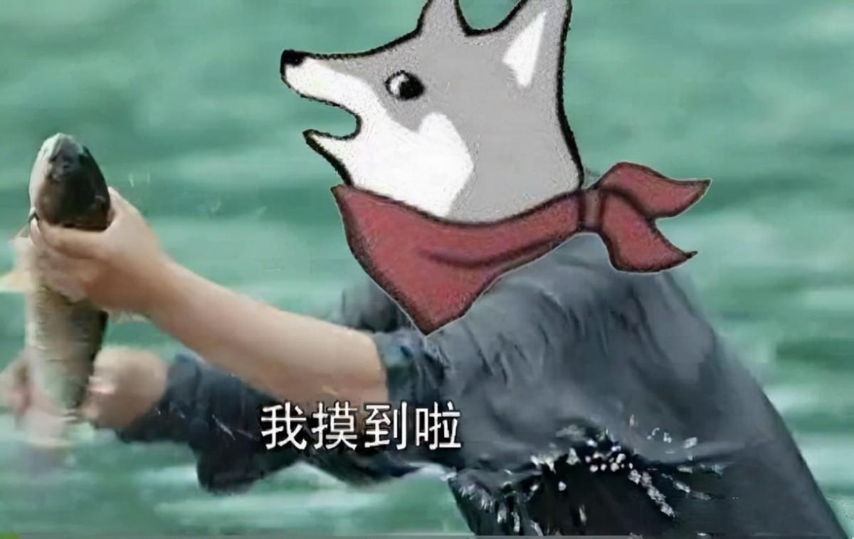 原神好感等级怎么获得(原神传说任务会给好感度吗)