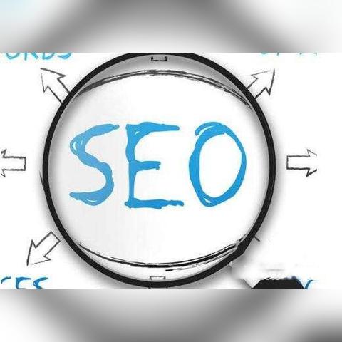 seo 优化需要学什么