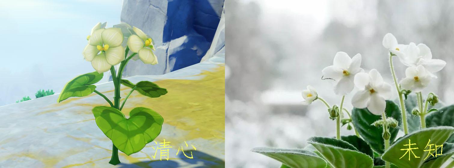 原神英花瓣怎么获得（原神荒海5个雷石柱怎么重置）