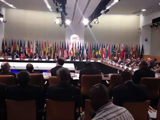 海归说丨美国梦已过时世界银行金融分析师回国创业她都投资了啥