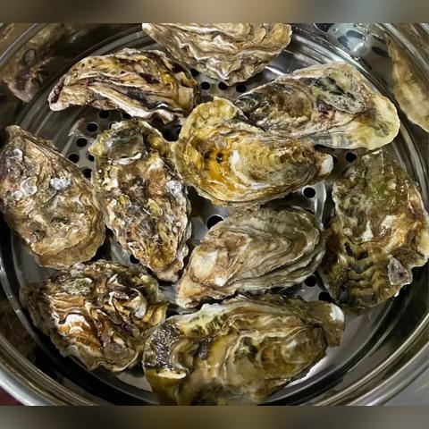 福建烤生蚝调料的相关长尾关键词有哪些