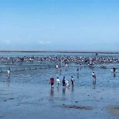 厦门做帆船地方在哪里的相关长尾关键词有哪些