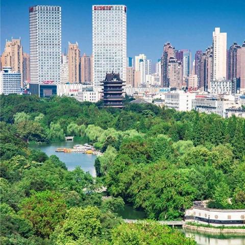 合肥市因什么闻名