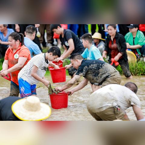 桂林种水稻老板电话号相关长尾关键词有哪些