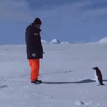 美女大明星(美女大明星滴诱惑交配视频)