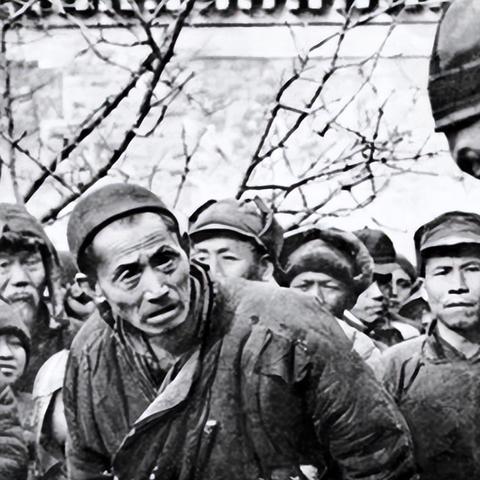 河南哪个地方产牛皮